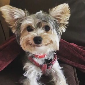 Meet your Posher, Nancy